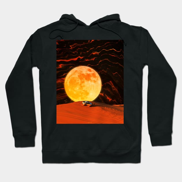 SIMULATION. Hoodie by LFHCS